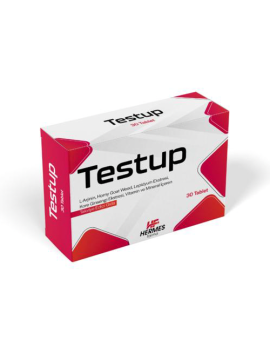 TESTUP